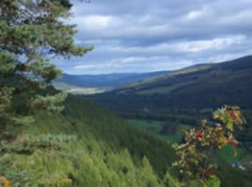 scottish glen